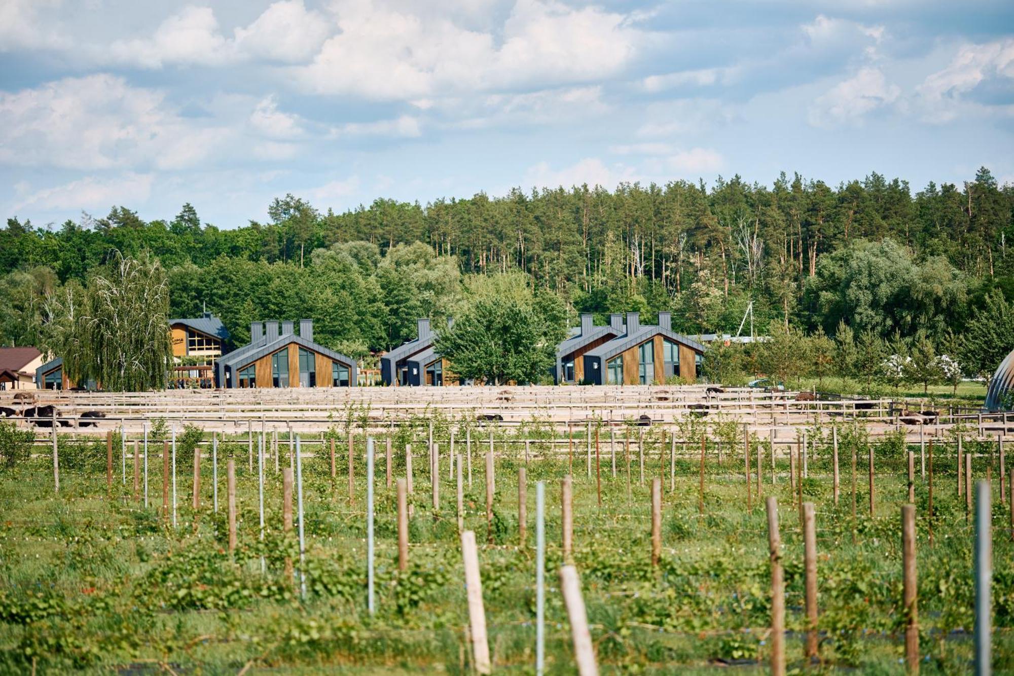 Сімейний Екопарк Ясногородка Yasnogorodka  Экстерьер фото